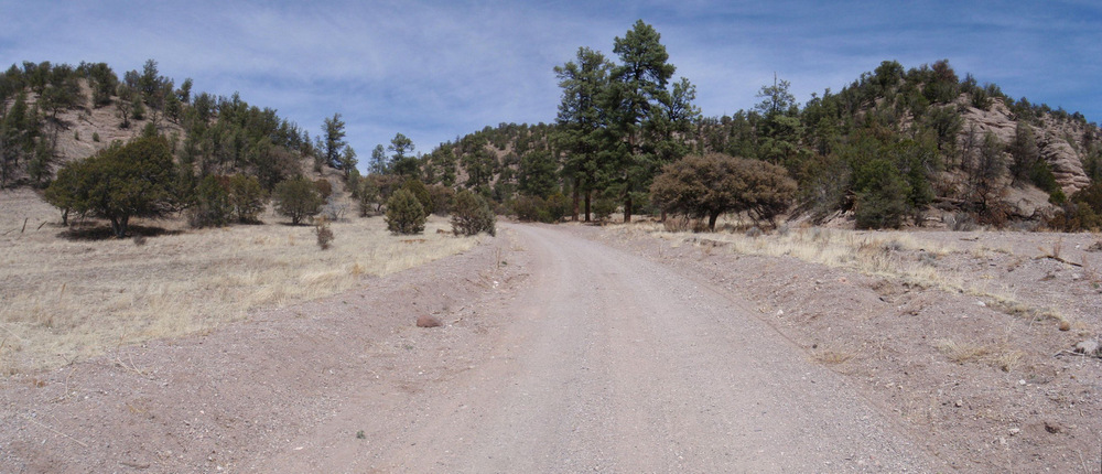 Diamond Creek Valley (GDMBR, Gila NF, NM).